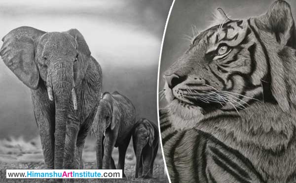 Online Professional Certificate Course in Pencil Shading, Pencil Shading Classes in Delhi, Pencil Portrait Drawing Classes, Pencil Shading Course, Online Best Pencil Shading Drawing Classes in Delhi, India