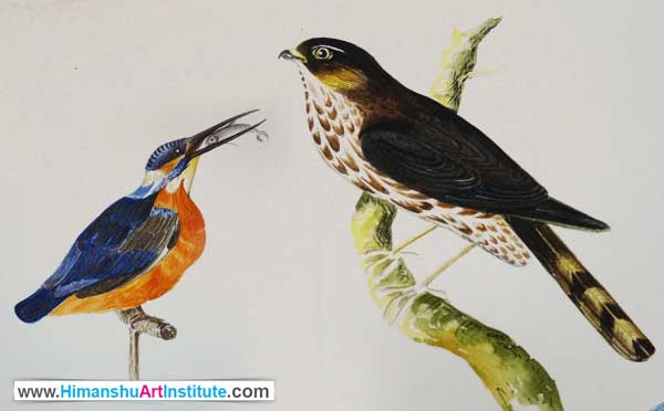 Online Professional Certificate Course in Water Colour Painting, Watercolour Painting Classes, Watercolor Painting Classes, Water Colour Painting Course, Watercolor Painting Course, Online Water Colour Painting Classes in Delhi, India